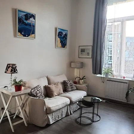 Appartement Apart Au Standing - Ambiance Cosy - Dans Un Immeuble De Prestige Du 19eme Siecle - Terrasse Au Rdc - Parking Rijsel