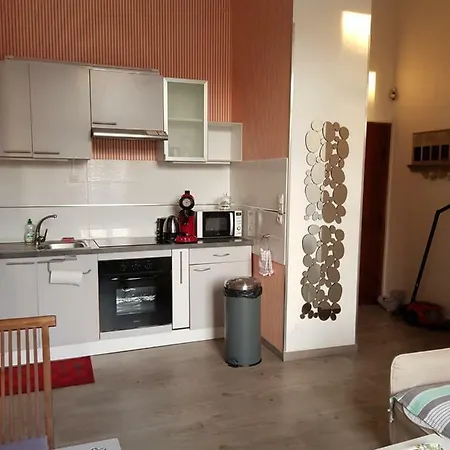Appartement Apart Au Standing - Ambiance Cosy - Dans Un Immeuble De Prestige Du 19eme Siecle - Terrasse Au Rdc - Parking Rijsel