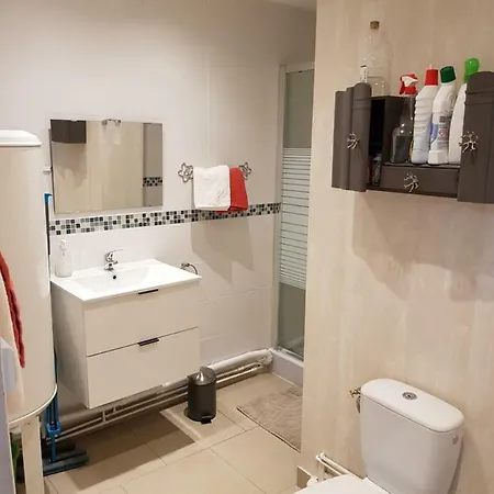 Appartement Apart Au Standing - Ambiance Cosy - Dans Un Immeuble De Prestige Du 19eme Siecle - Terrasse Au Rdc - Parking Rijsel
