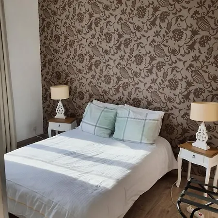 Apart Au Standing - Ambiance Cosy - Dans Un Immeuble De Prestige Du 19eme Siecle - Terrasse Au Rdc - Parking Apartment Lille